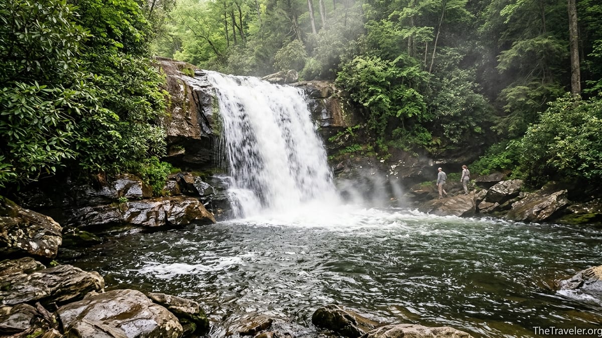 Powerful Abrams Falls plunging into a churning pool surrounded by green forest in Great Smoky Mountains National Park.