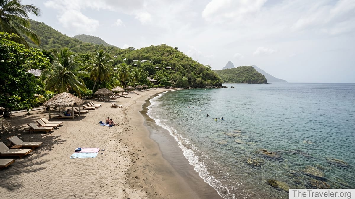 View of Anse Chastanet beach with loungers, black sand, and clear water in Saint Lucia.