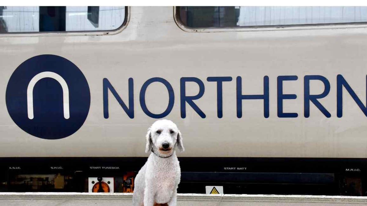 Bedlington Station Reopens With Free Travel For Terrier Owners