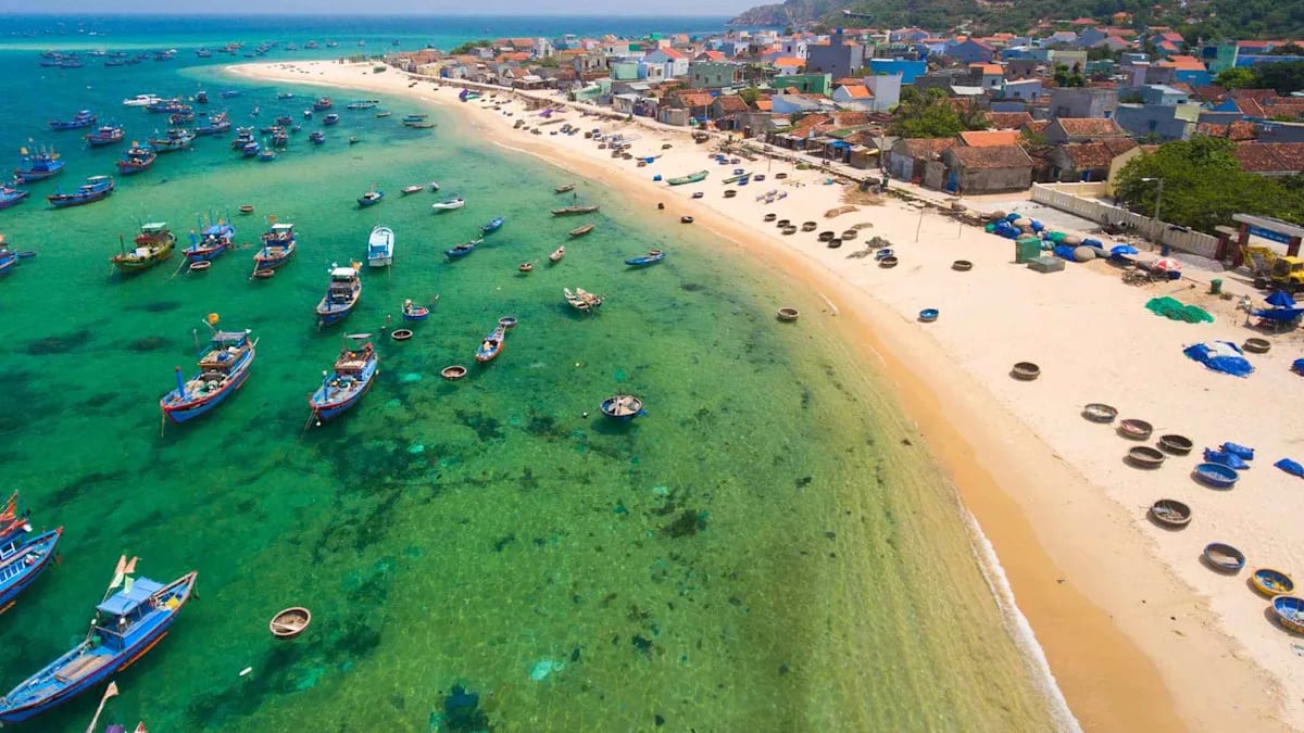 CDC Warns Travelers As Dengue ‘Breakbone Fever’ Spreads Globally