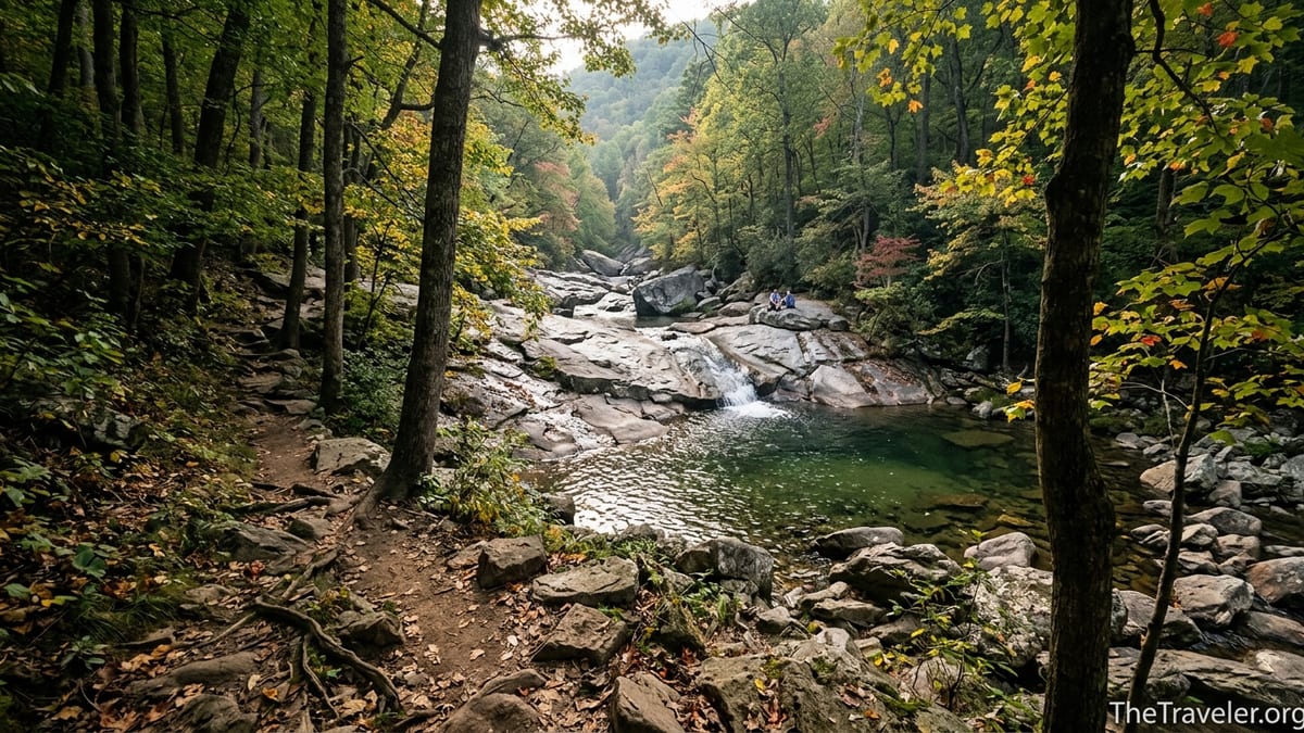 Where the Cedar Run Trail Starts and What to Expect