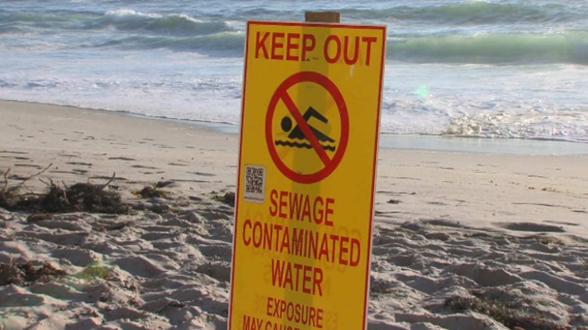 Coronado Beach Shut Amid Sewage Contamination Concerns