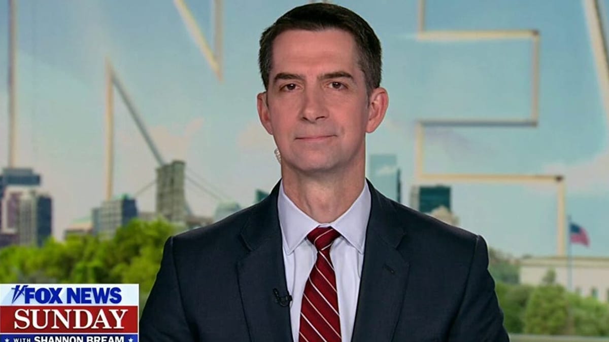 DHS funding fight fuels travel turmoil as Cotton faults Democrats