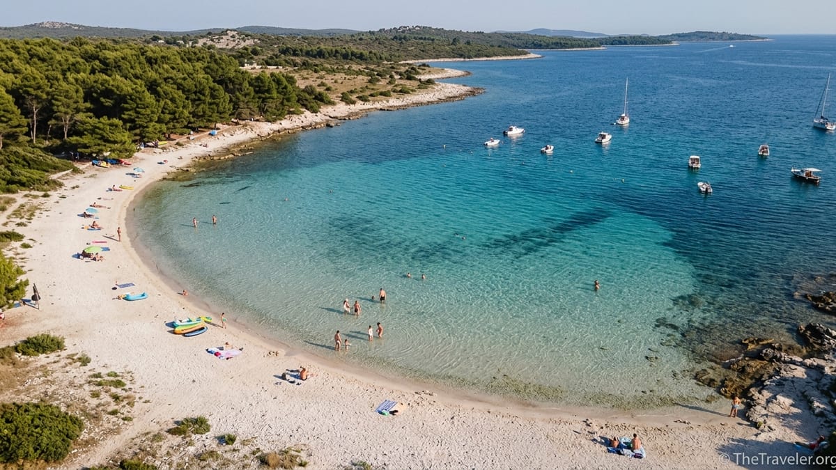 Aerial view of Sakarun Beach on Dugi Otok with shallow turquoise water and pine-fringed white shore.