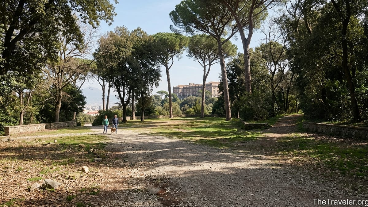 Shaded woodland path in Bosco di Capodimonte with distant view of the palace.