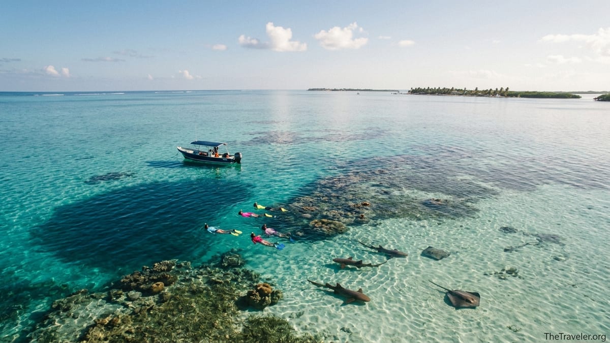 Snorkelers floating above the reef channel at Hol Chan Marine Reserve in Belize