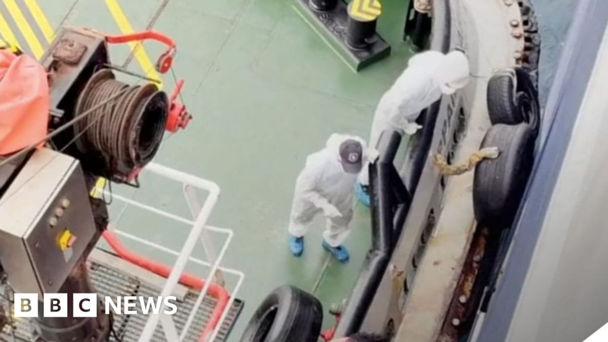 Human-spread hantavirus strain confirmed in cruise ship outbreak
