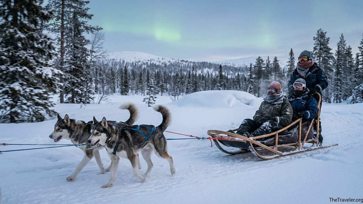 Travelers riding a husky sled through a snowy Lapland forest at blue hour.