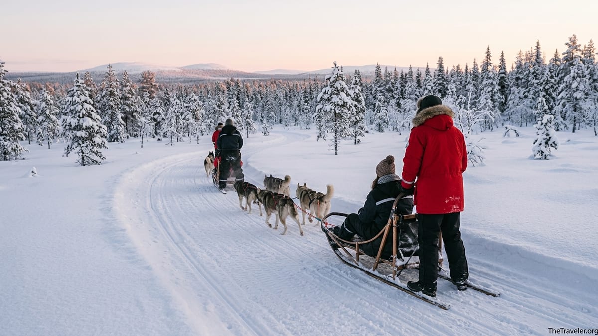 Travelers driving husky sleds through snowy Lapland forest at winter dusk.