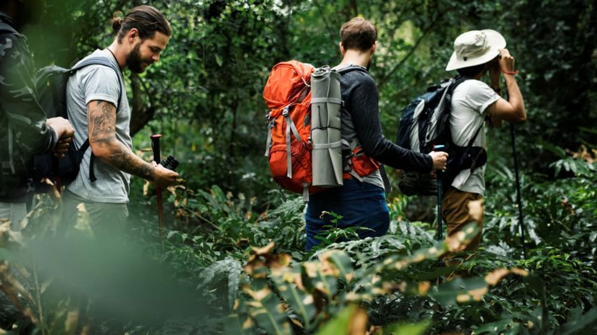 Indonesia Pivots Wildlife Tourism Toward Conservation