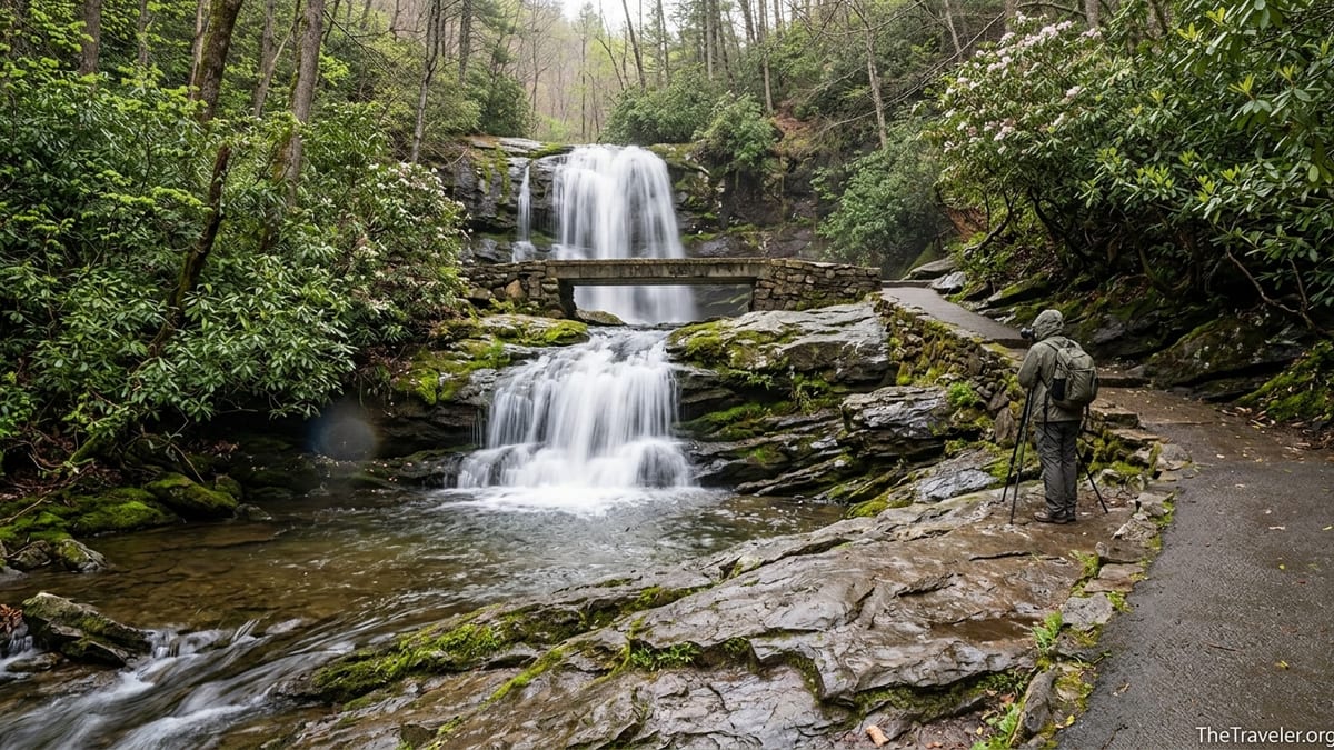 Spring view of Laurel Falls in Great Smoky Mountains with lush foliage and a photographer on the footbridge.