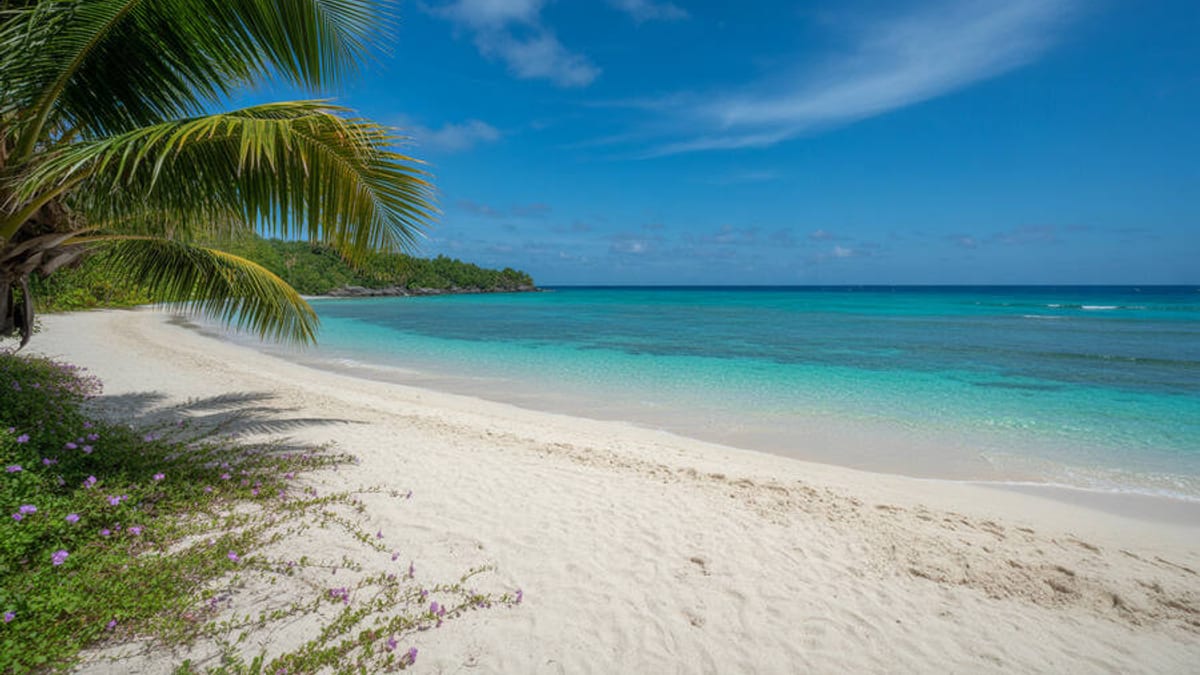 New Nonstop India Flights Transform Trips to Thailand, Vietnam, Seychelles