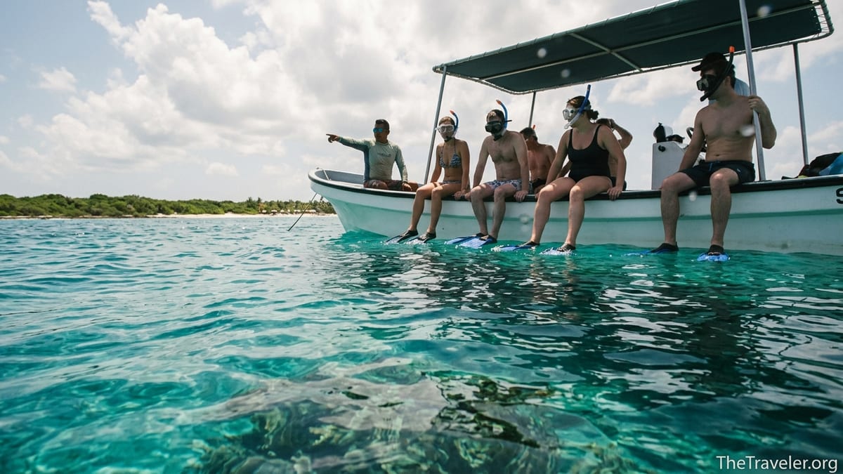 Palancar Reef Guide for First-Time Cozumel Visitors