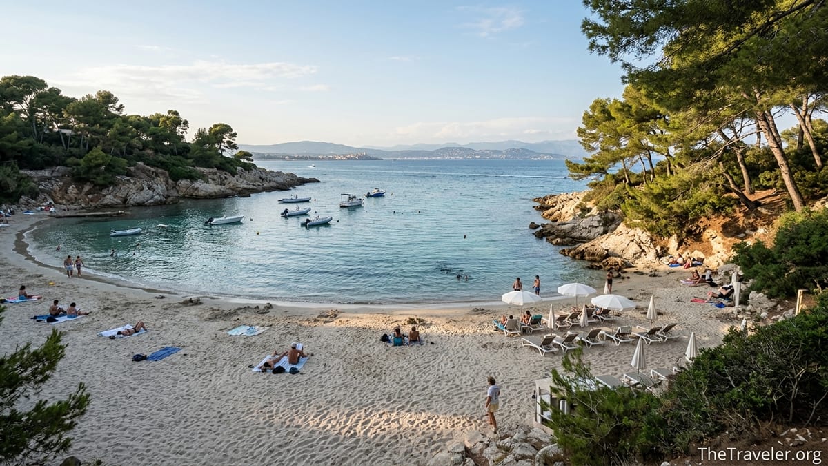 Late afternoon view over Plage de la Garoupe cove with pines, sand and turquoise water on Cap d’Antibes.
