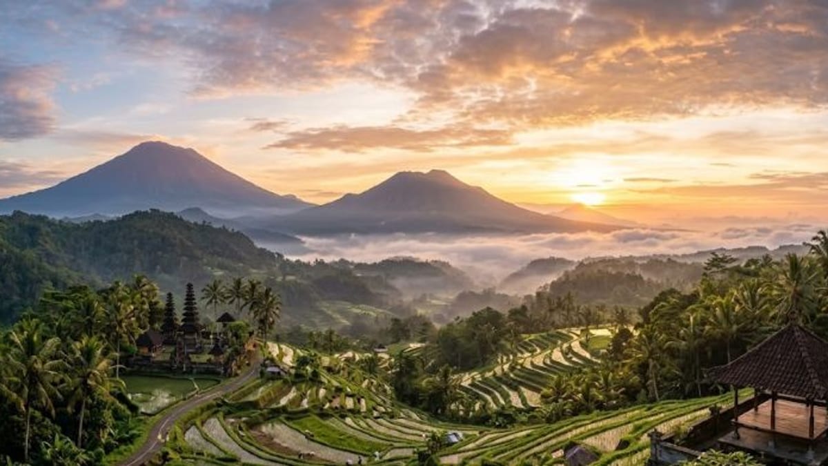 Secret Abyss Artifacts Lure the Boldest Nomad Divers