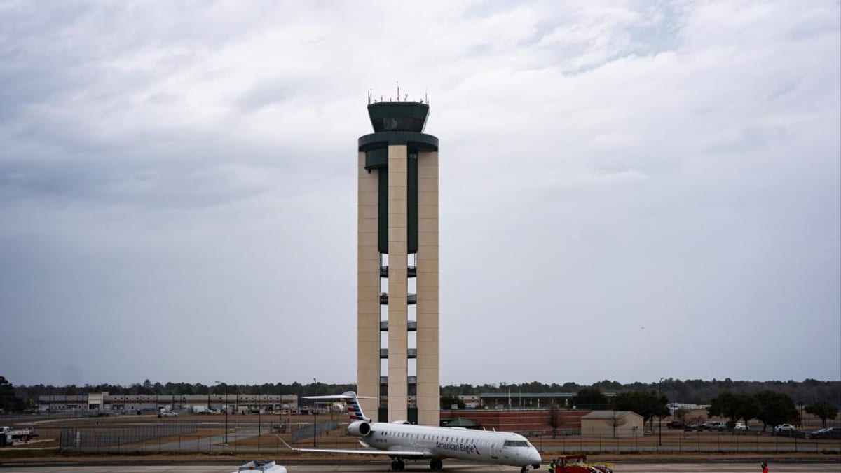 Six-Foot Alligator Briefly Halts Delta Departure in Savannah