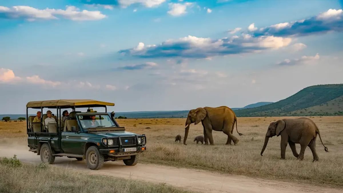 South Africa Joins Africa’s Tourism Elite as Arrivals Surge