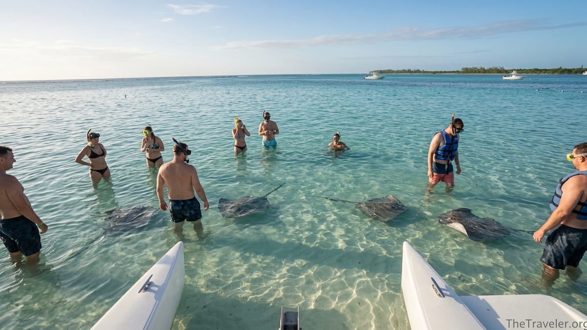 Early morning at Stingray City sandbar with a few people and stingrays in clear turquoise water.