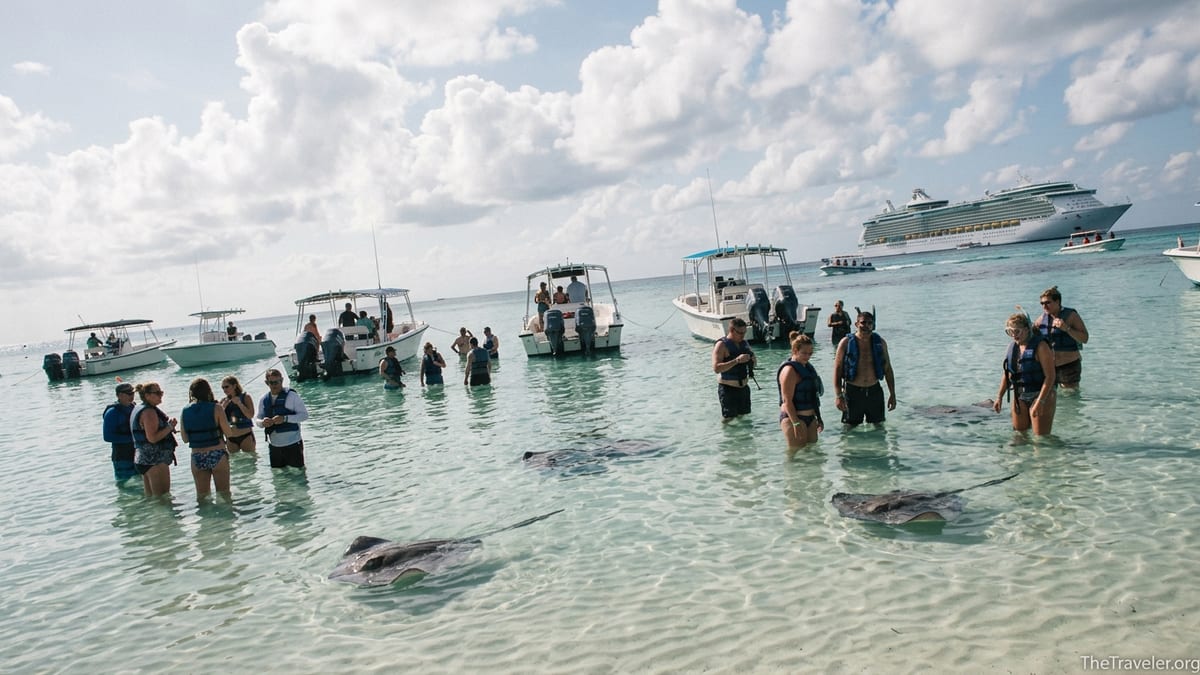 Cruise passengers wading with stingrays at Stingray City sandbar in Grand Cayman with cruise ship anchored offshore.