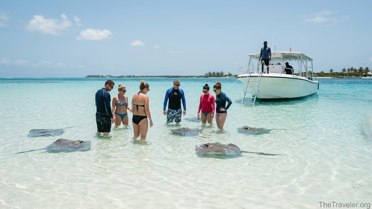 Visitors standing in shallow turquoise water at Stingray City Sandbar as stingrays swim around them.