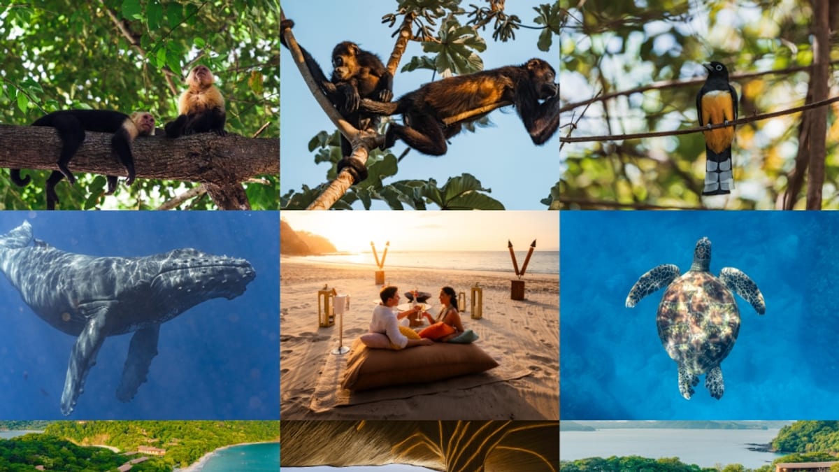 Summer Wildlife Adventures at Four Seasons Papagayo