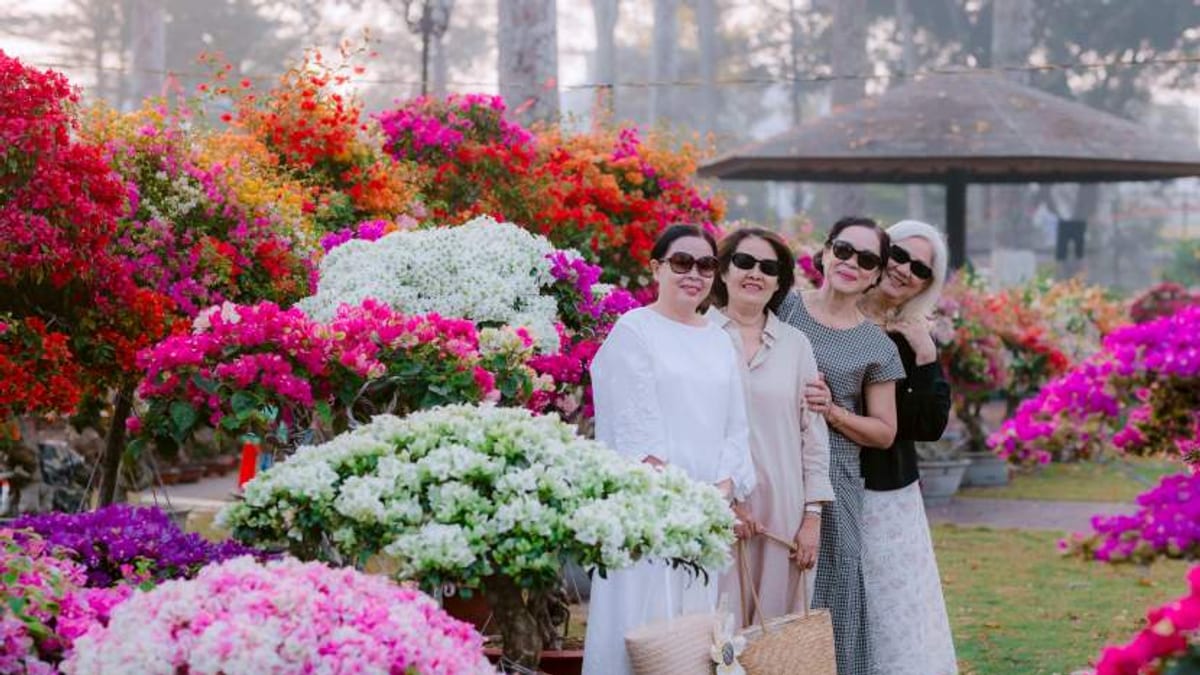 Two-Year Overhaul Set to Transform Noida’s Botanical Garden