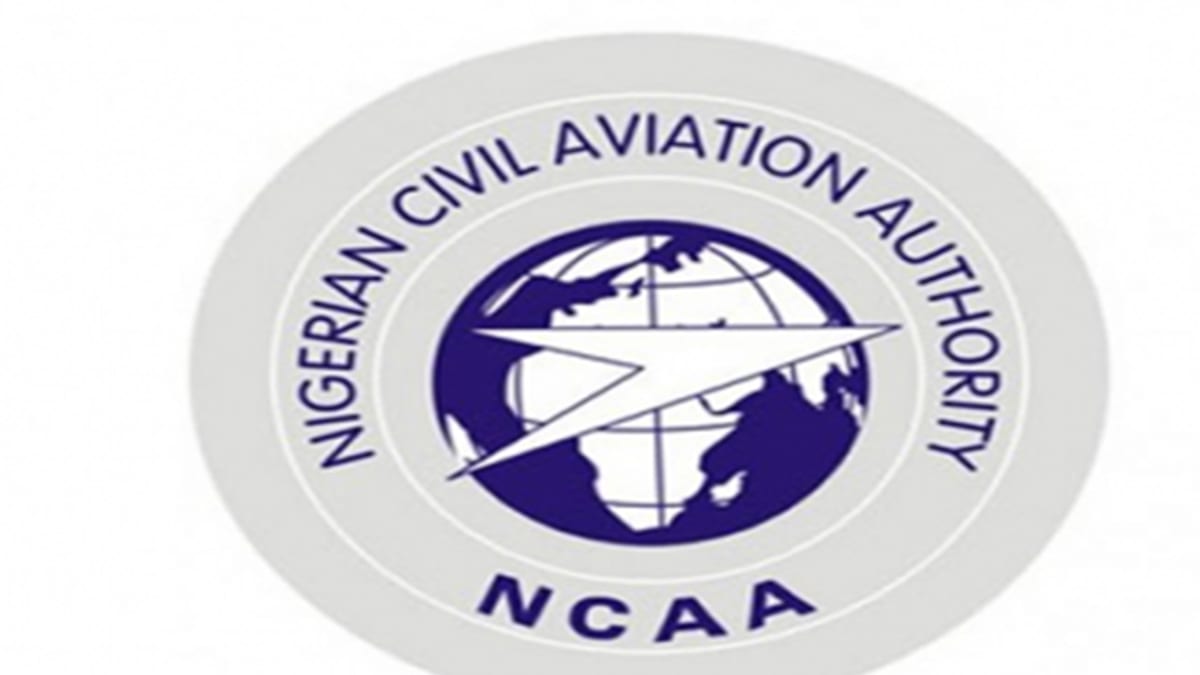 U.S. Data Shows Fewer Delays, Cancellations on Domestic Flights