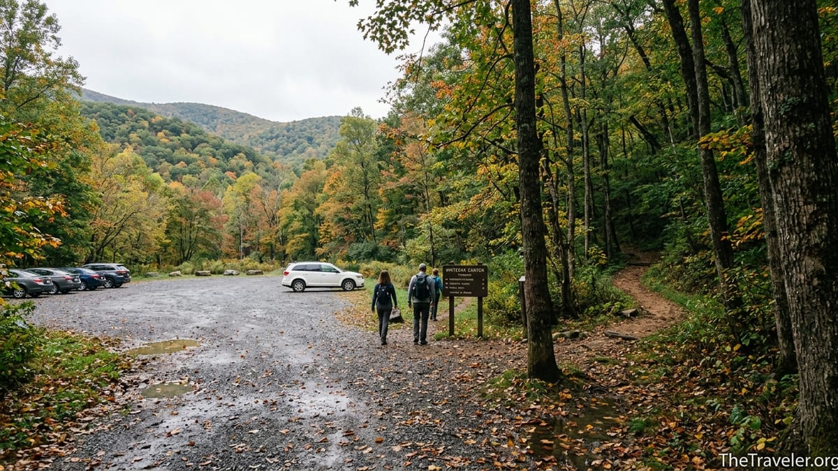 Where to Park and Best Routes for Whiteoak Canyon