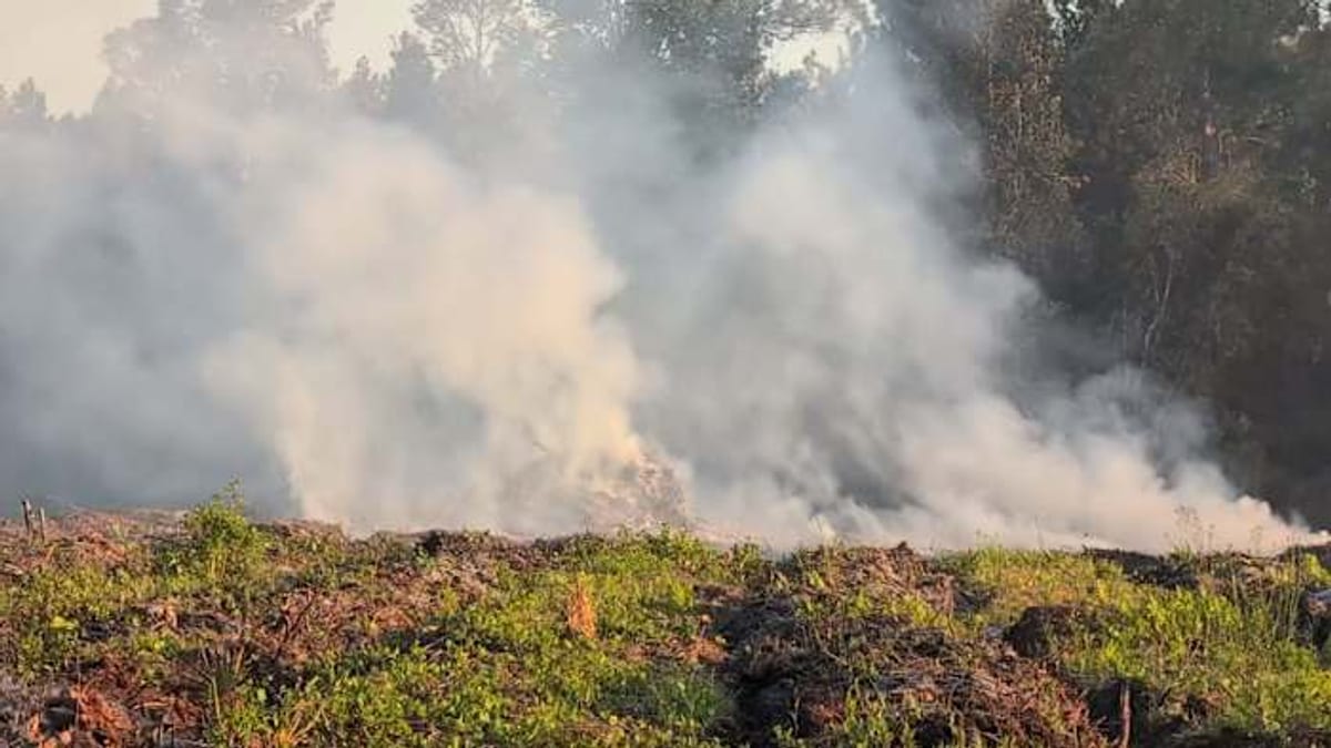 Wildfires Halt Amtrak Service, Stranding Florida Passengers