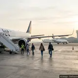 Istanbul’s Street Cats Are Becoming a Global Tourism Draw